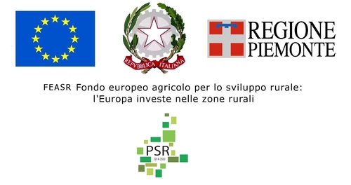 regione Piemonte